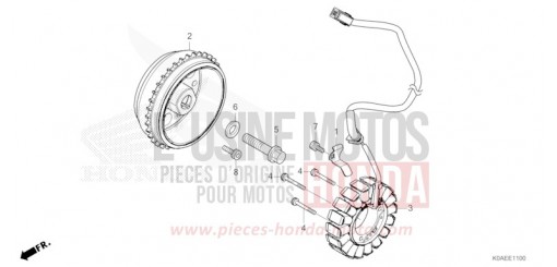 GENERATORE (1) CBF300NAN di 2022